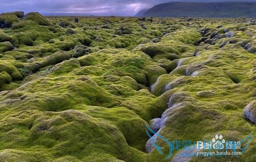 ʡǮСԣ[13]ι滮ʡǮС