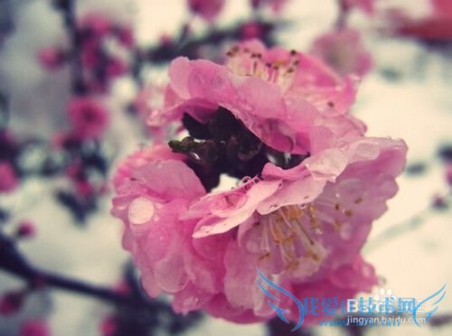 ʡǮСԣ[13]ι滮ʡǮС