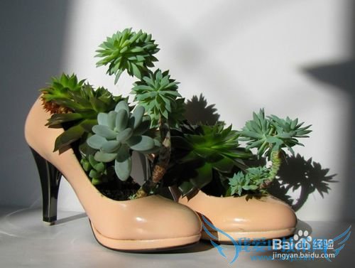 非常适合送给女生的生日礼物