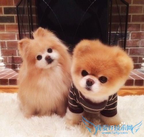 非常适合送给女生的生日礼物