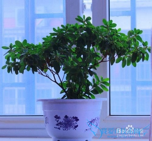 新房入住送什么礼物