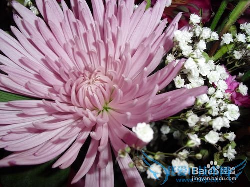 三八节怎样送礼物