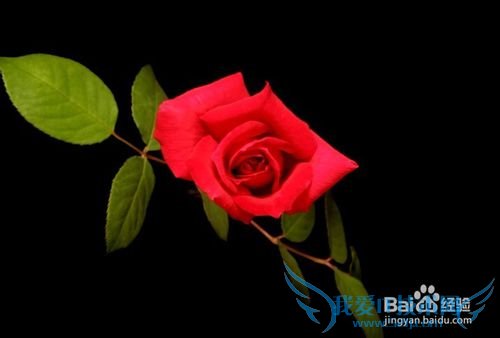 三八节怎样送礼物