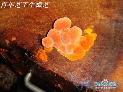 ж͸ĸʲôʲô⣡