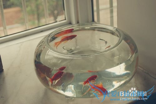 情侣互送节日或纪念日礼物攻略