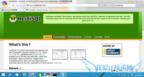 JAVA项目环境配置 -- HeidiSQL安装篇