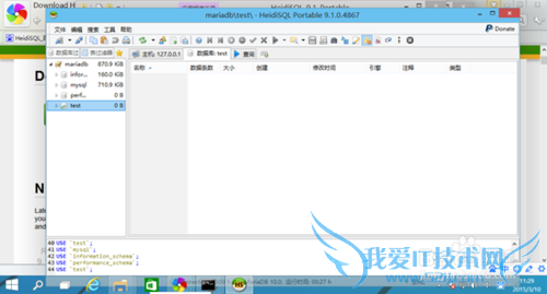 JAVA项目环境配置 -- HeidiSQL安装篇