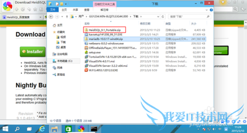 JAVA项目环境配置 -- HeidiSQL安装篇