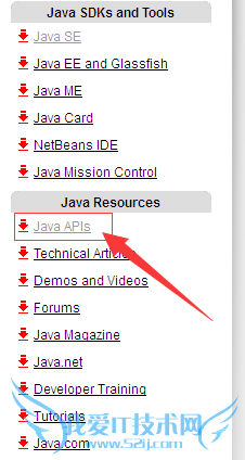 δӹjava API