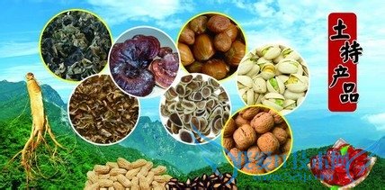 送给老人什么礼物好