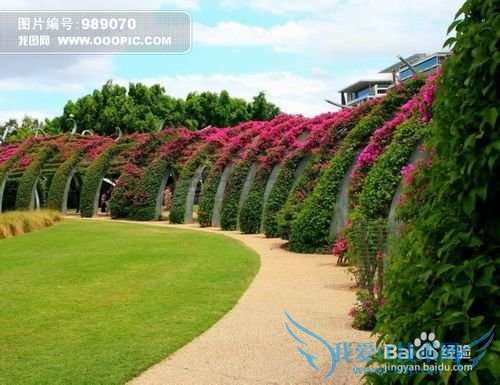 科学理财的好处