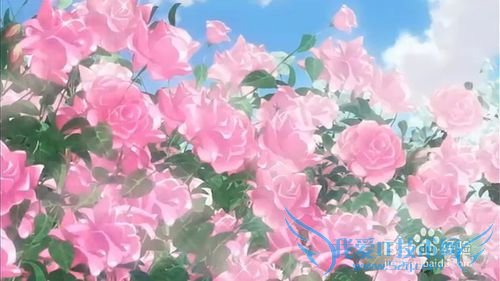 母亲节赠送礼物指南