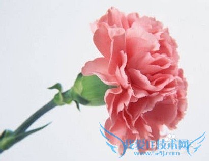 ĸÇ×½ÚËÍÂèÂèʲô½ÚÈÕÀñÎï