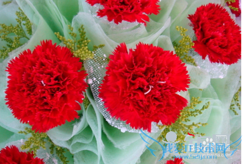 ĸÇ×½ÚËÍÂèÂèʲô½ÚÈÕÀñÎï