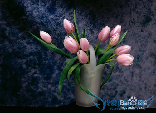 母亲节送妈妈/婆婆什么礼物比较好