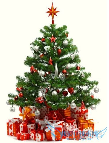 圣诞节什么礼物给女友显心意