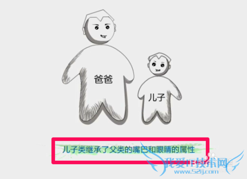 JAVA中继承的理解方法