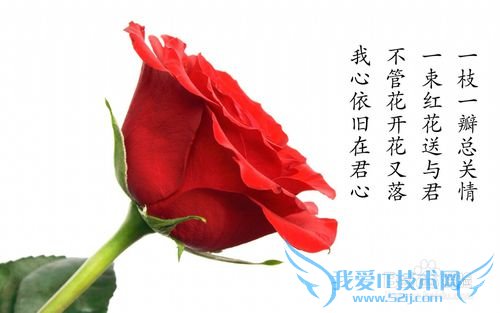 情人节送女孩什么礼物好