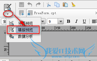 java报表门户FineReport中如何查看填报预览