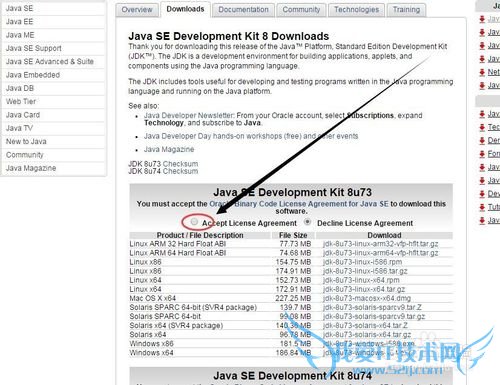 怎么从官网中下载JDK