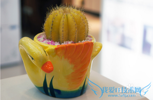 2月14号情人节送给男生什么礼物?