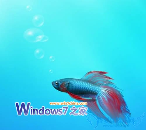 Windows7ֽ7