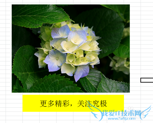 excelӡҳ߾ࡢҳüҳ