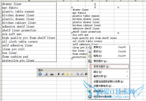 如何将excel表格复制成图片