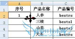 EXCEL序号怎样自动生成