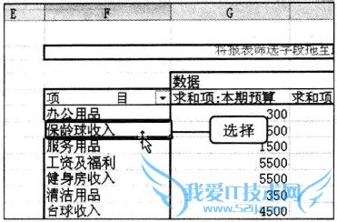 Excel2010 数据透视表中显示的字段内容重新组合