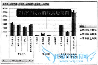 Excel2010 数据透视表中显示的字段内容重新组合