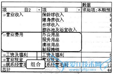 Excel2010 数据透视表中显示的字段内容重新组合