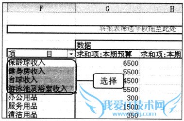 Excel2010 数据透视表中显示的字段内容重新组合