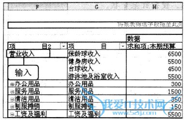 Excel2010 数据透视表中显示的字段内容重新组合