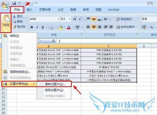 怎样将excel表格做成图片,插入到word文档中?