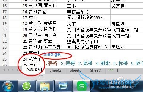 如何设置excel的标签常用功能