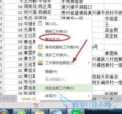 如何设置excel的标签常用功能