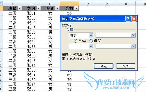 Excel2007ɸѡ