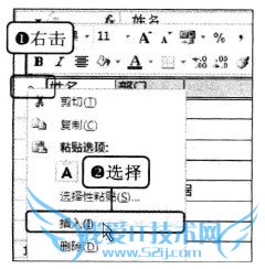 Excel2010 插入行的操作