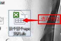 wps̳̣[5]wpsαexcelĵ