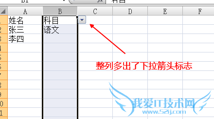 Excel使用技巧之设置单元格为下拉框
