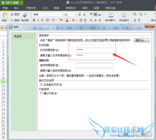 Excel表格如何设置密码保护(WPS)