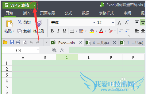 Excel表格如何设置密码保护(WPS)