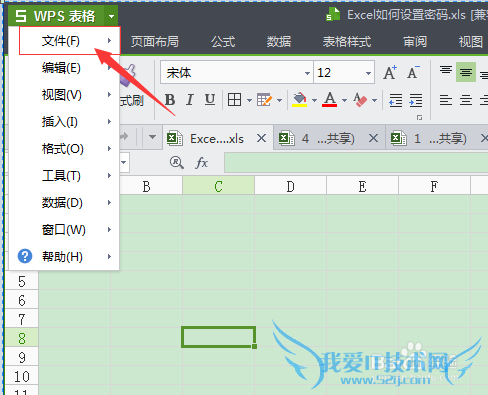 Excel表格如何设置密码保护(WPS)