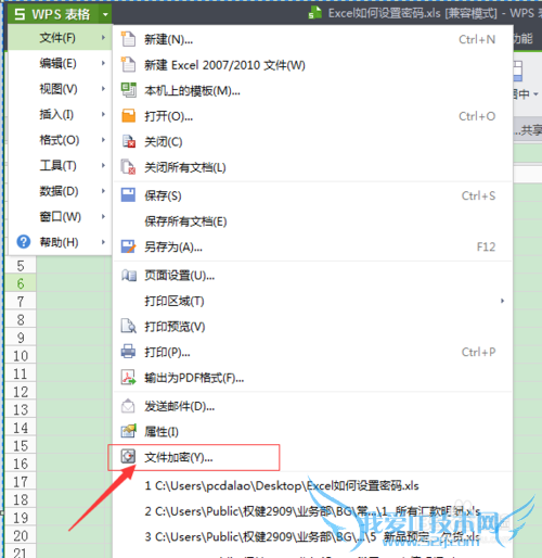 Excel表格如何设置密码保护(WPS)