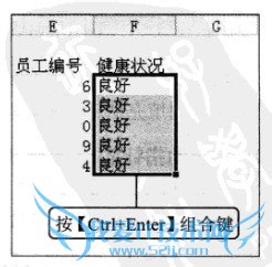 Excel2010 按【Ctrl+Enter】同时填充相同数据