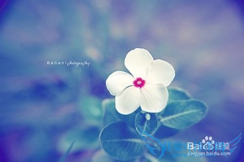 怎样在Excel的单元格内一键批量录入相同的数据