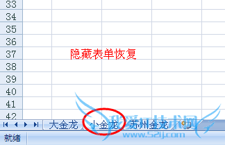 EXCEL电子表单的隐藏和恢复方法?