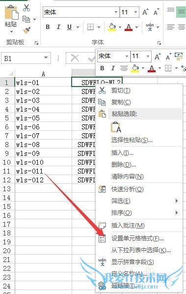 怎么在Excel中输入固定前缀的数字