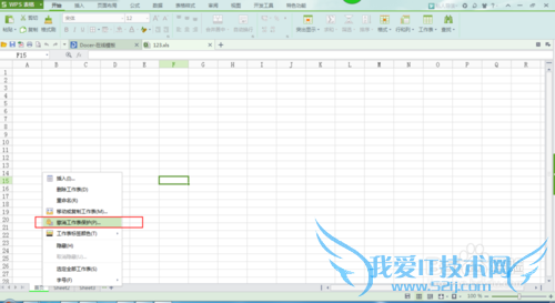 WPS表格和Excel2010设置工作标签和对工作表加密